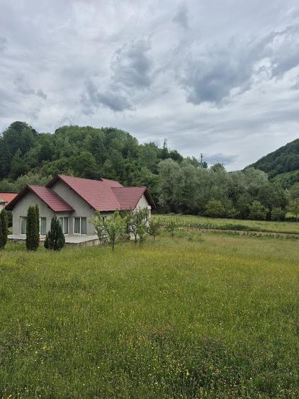 Casă cu Teren 6000 Mp în Târlișua