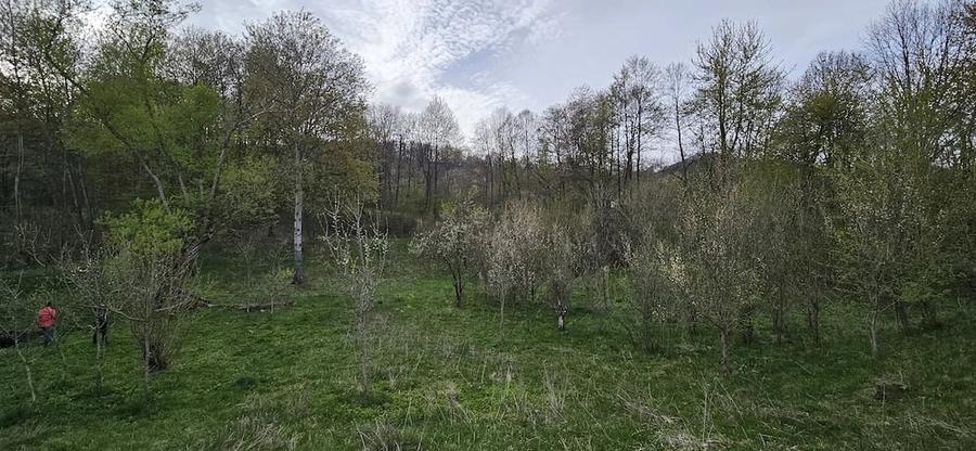 Teren de 3320 mp, în Provița de Sus