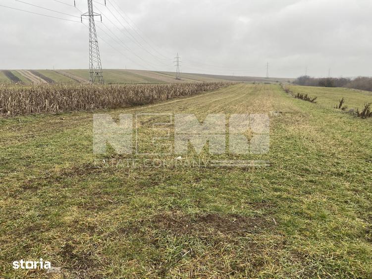 Teren Burdujeni | Zona Tarinca | 41 Ari - 1