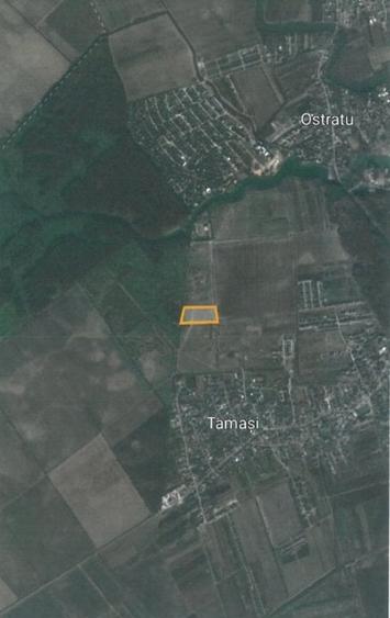 Teren Construcții extravilan de 55454 mp, în Corbeanca