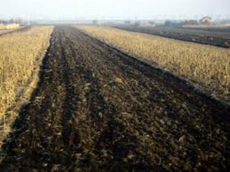 Teren extravilan de 90000 mp, în Piscu Vechi