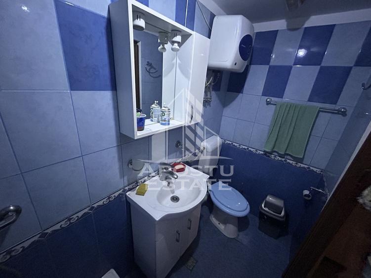 Spațiu comercial, de 110 mp, în Elisabetin