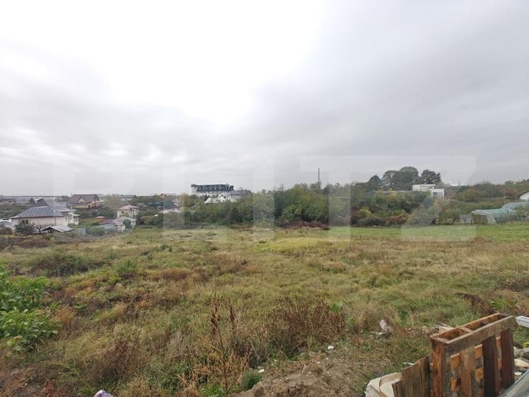 Teren Construcții intravilan de 6000 mp, în Geamăna