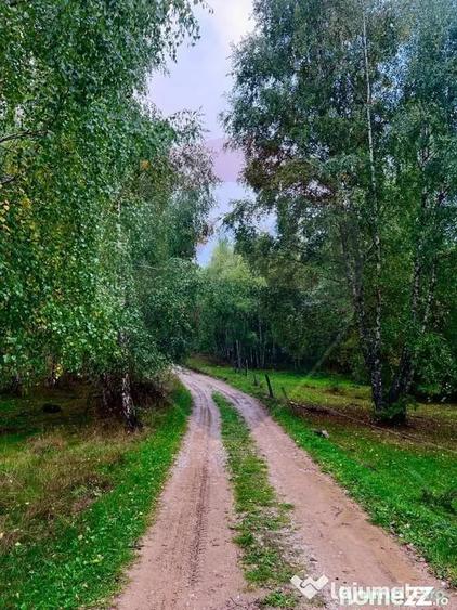 Teren de 7350 mp, în Bulz