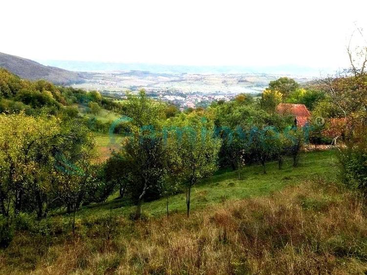 Teren agricol intravilan de 1400 mp, în Șuncuiuș