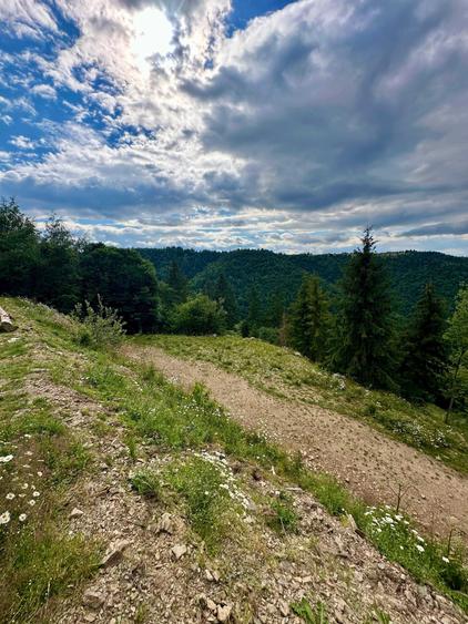 Teren de 1824 mp, în Mărișel