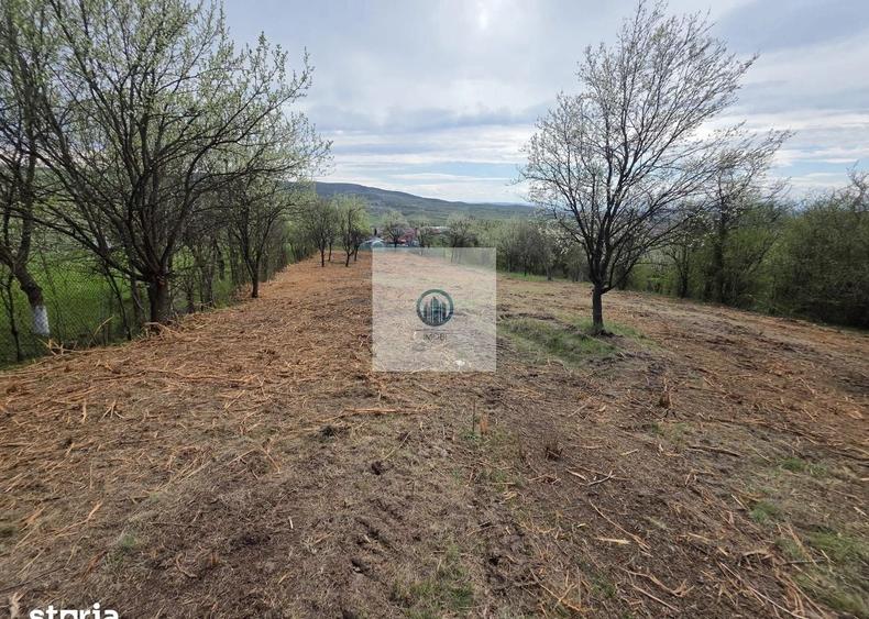 Teren agricol extravilan de 6704 mp, în Hărău