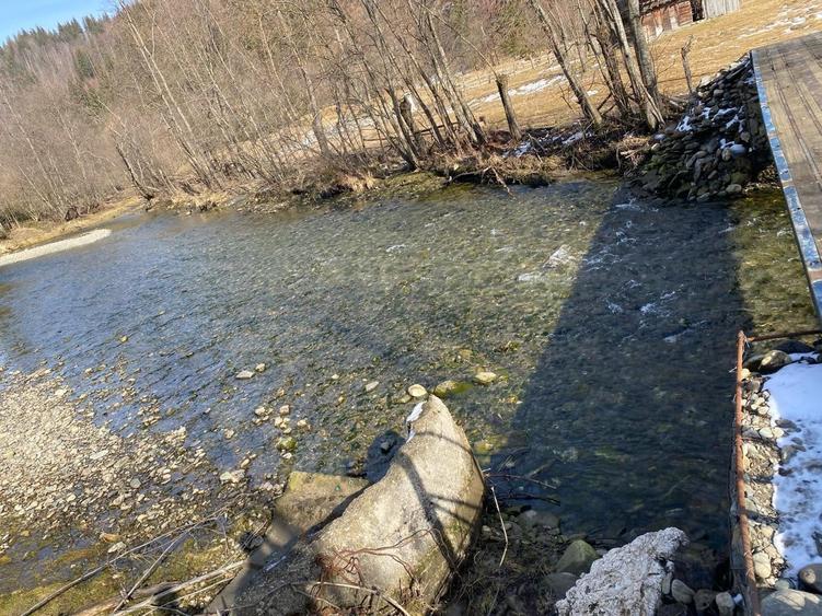 Teren Construcții intravilan de 2694 mp, în Sătic