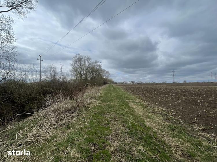 TEREN INTRAVILAN | 50 ARI | ZONA PERIFERICA RADAUTI - 5