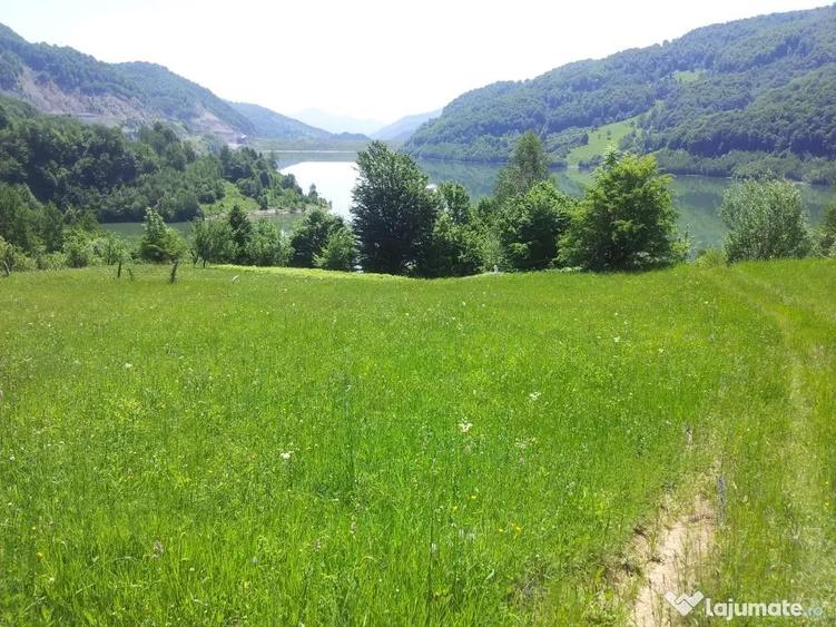 Teren de 73000 mp, în Siriu