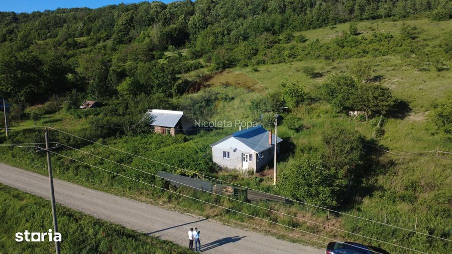 Casa de vanzare in Valea Salciei