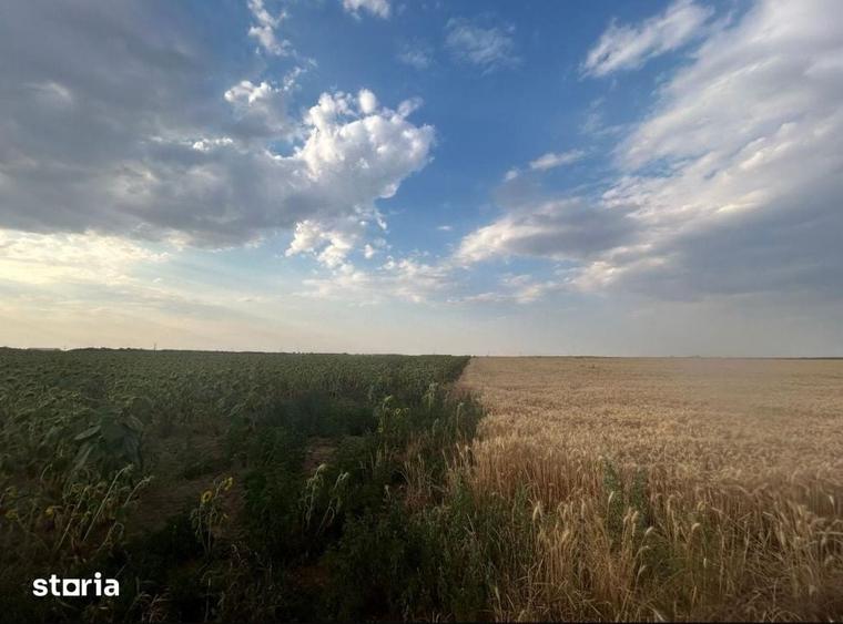 Teren de 9500 mp, în Cârcea