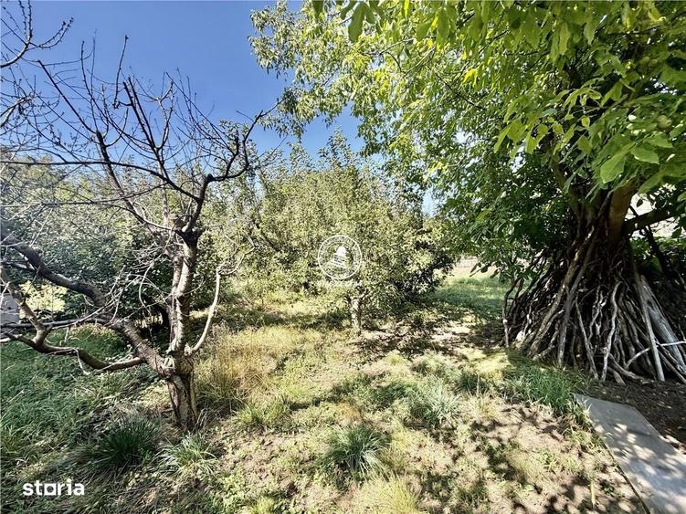 Casă cu 3 camere cu Teren 990 Mp în Miroslava