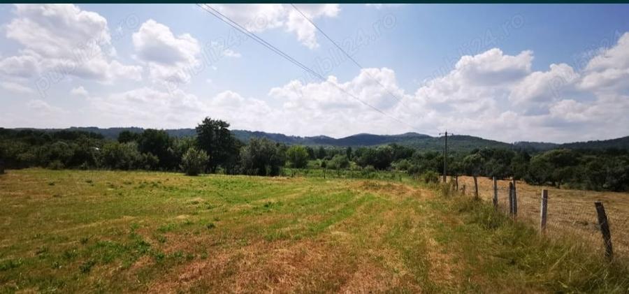 Teren de 18100 mp, în Domnești
