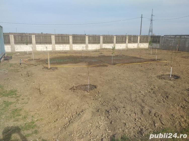 Spațiu comercial, în Lumina