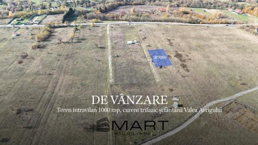 Teren 1000 mp, curent trifazic si fantana Valea Avrigului - 1