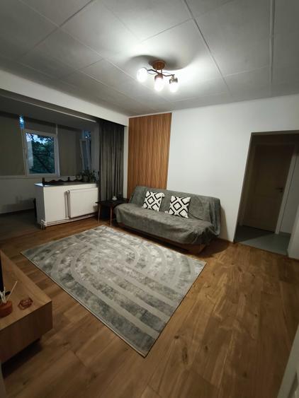 Apartament cu 2 camere semidecomandat în Brotăcei