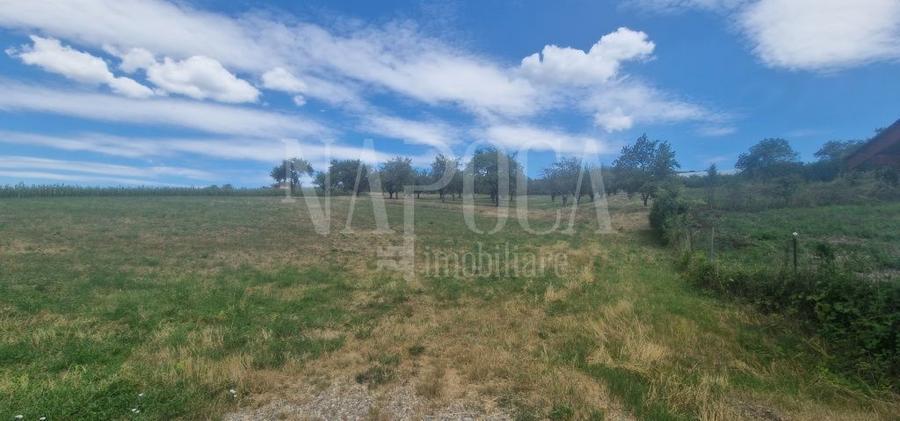 Teren Construcții intravilan de 167000 mp, în Iris