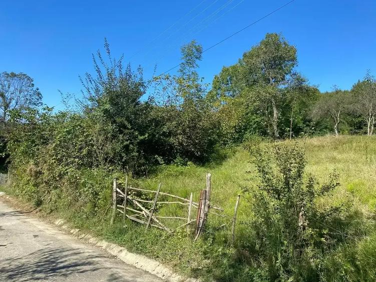 Teren intravilan de 2500 mp, în Urseiu