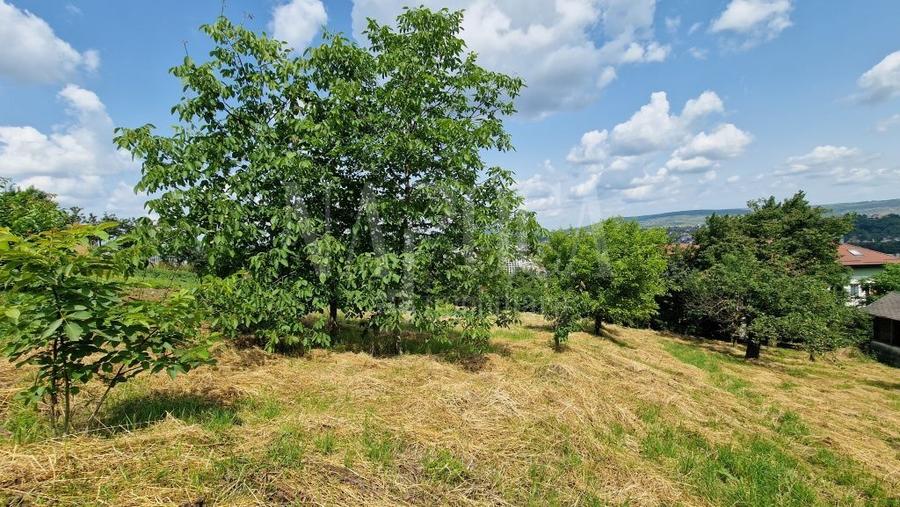 Teren Construcții intravilan de 4600 mp, în Zorilor