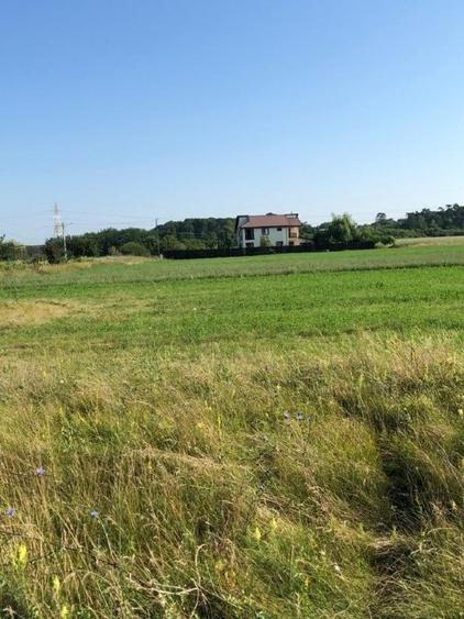 Teren agricol intravilan de 2475 mp, în Periș