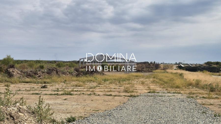 Spațiu industrial, de 600 mp, în Narciselor