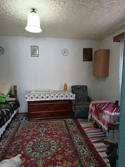 Casă cu 3 camere în Muntele Băișorii