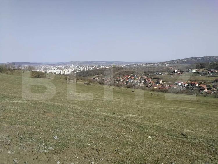 Teren Construcții intravilan de 15904 mp, în Dâmbu Pietros