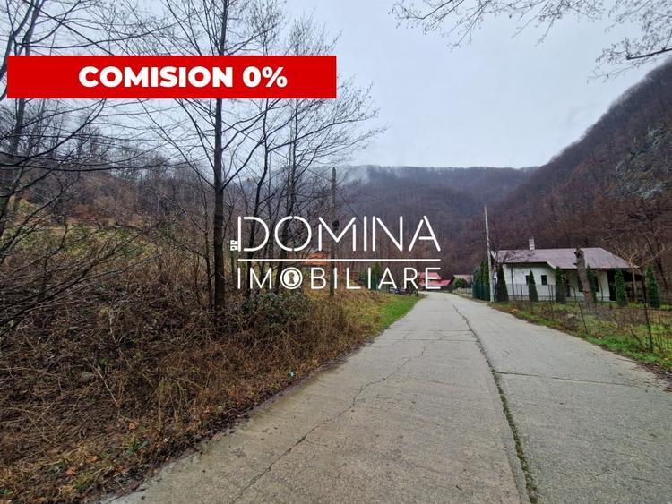 Teren Construcții intravilan de 4416 mp, în Peștișani