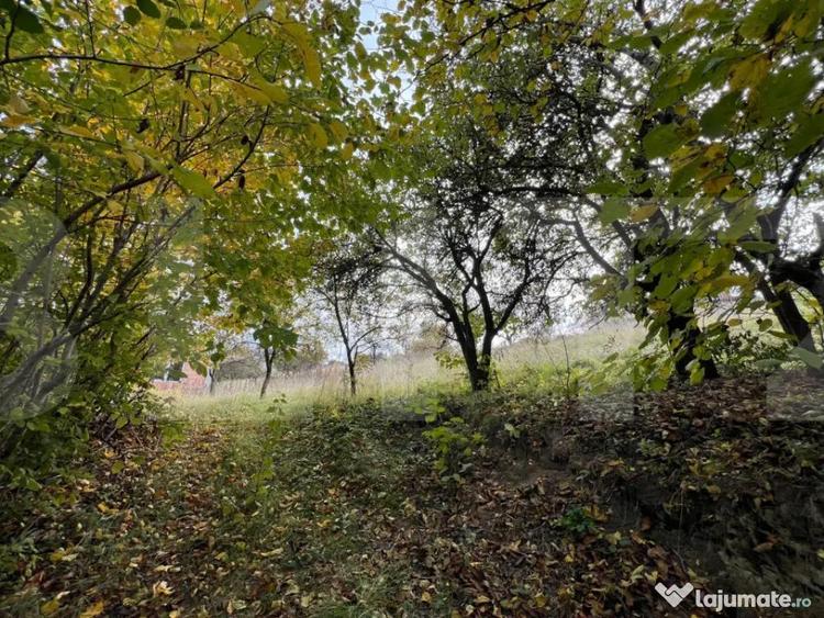Teren de 702 mp, în Bună Ziua