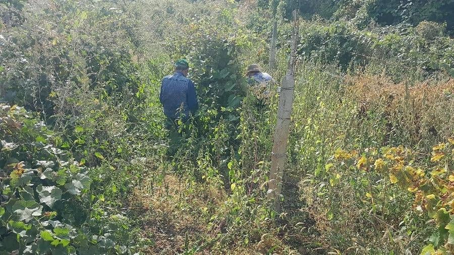 Garsonieră decomandată în Poșta