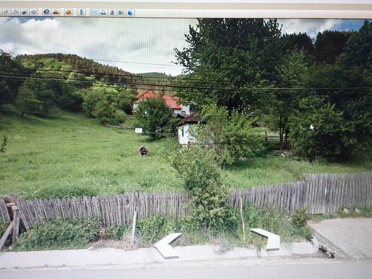 Teren de 2900 mp, în Buhalnița