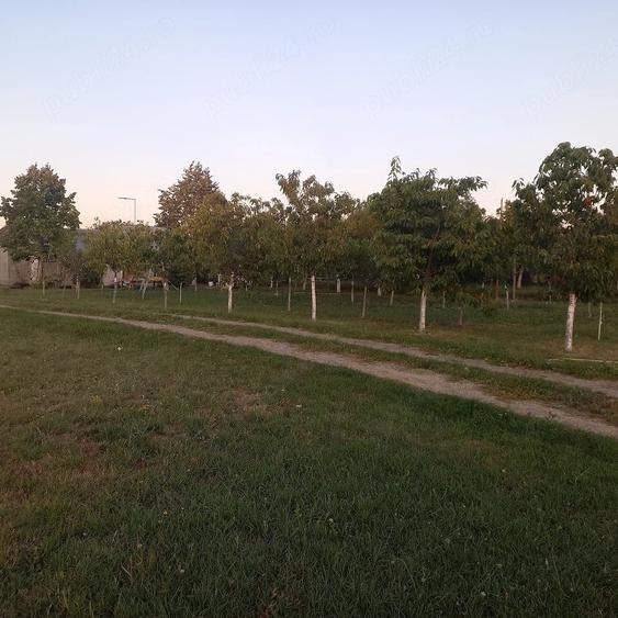 Casă cu Teren 2000 Mp în Central
