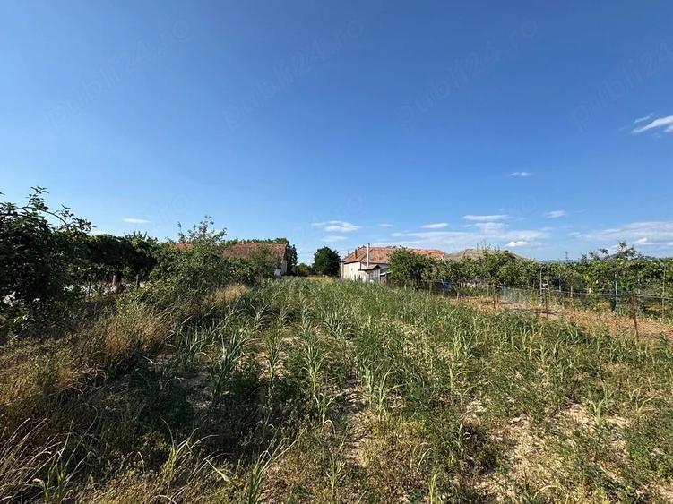 Teren de 900 mp, în Drăgănești