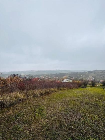 Teren intravilan de 2149 mp, în Dealuri Oradea