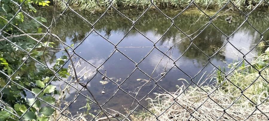 Casă cu 4 camere cu Teren 1507 Mp în Dudeștii Vechi