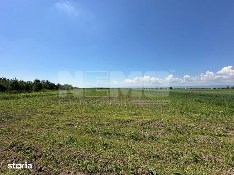 Teren de 5300 mp, în Frătăuții Vechi