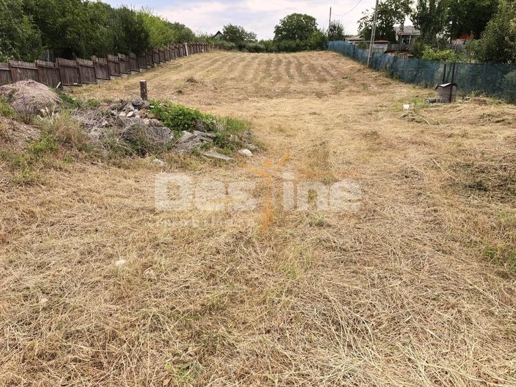 Teren Construcții intravilan de 3000 mp, în Chicerea