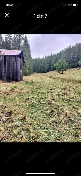 Teren de 34600 mp, în Cârlibaba