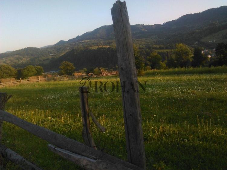 Teren intravilan de 5360 mp, în Tiha Bârgăului