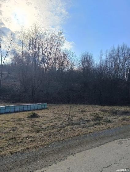 Teren de 4944 mp, în Dobra