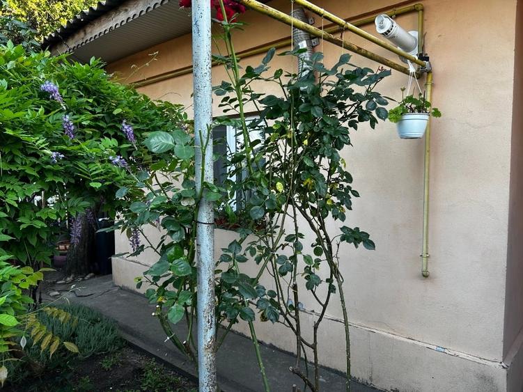 Casă individuală cu 4 camere cu Canalizare în Sud