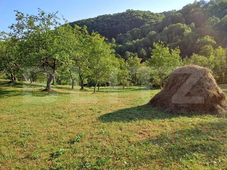 Casa de vanzare in Alma?u Mare lini?te, natura ?i teren de 1 ha - 9