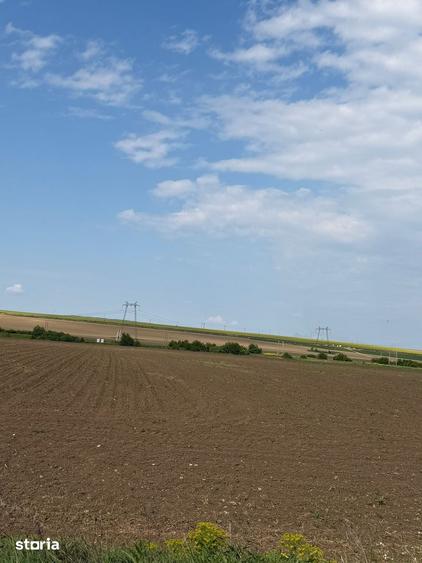 Teren de 27000 mp, în Săucești