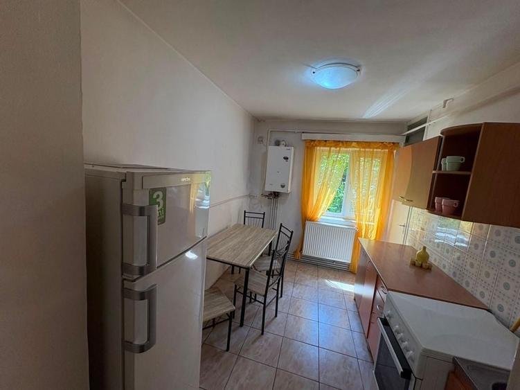 Apartament cu 2 camere în Dosu Bricii