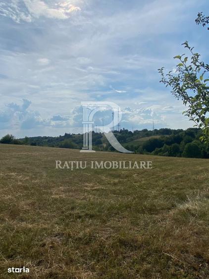 Teren Intravilan | 17.500 mp | S?inteu | Bihor - 2