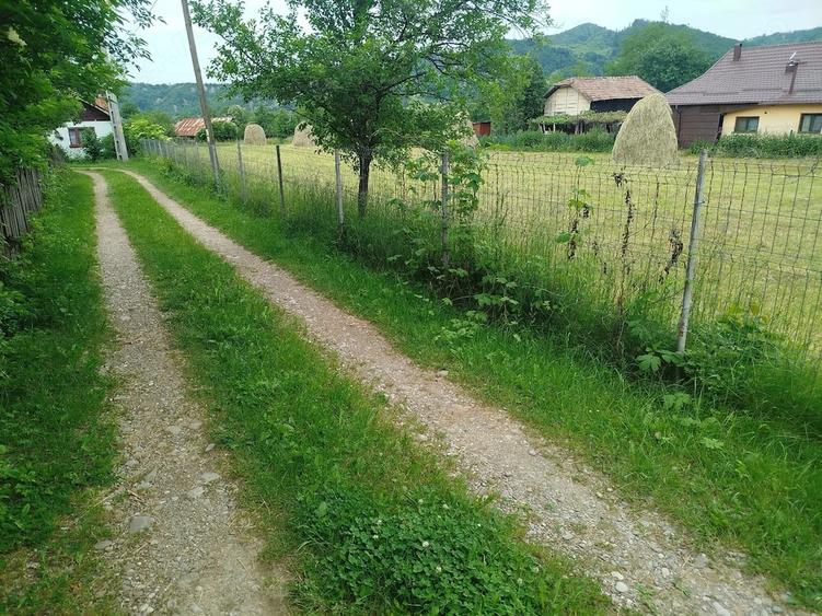 Teren de 3136 mp, în Podu Cheii