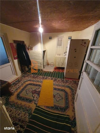 EXCLUSIVITATE! Casa + teren zona Beilic, com. Sageata - 16