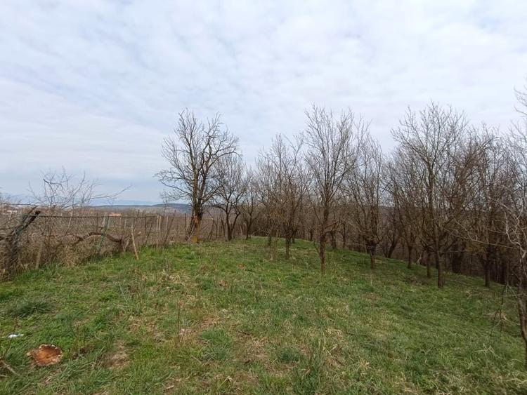 Teren Construcții intravilan de 1295 mp, în Straja