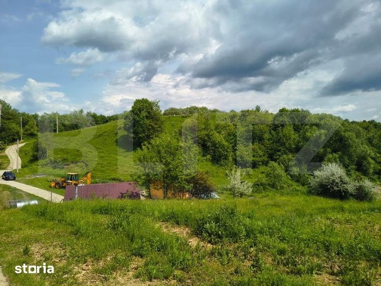 Teren de 5000 mp, în Teișani
